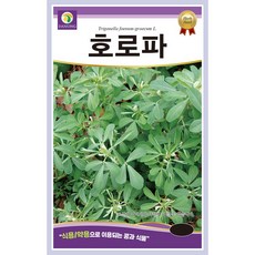 [주주씨앗] 호로파 씨앗 60립 / 식용 약용 콩과 허브 종자 / 봄 파종 허브 씨앗몰, 1개