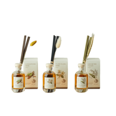 테일러센츠 비건 디퓨저, 일랑일랑허브 100ml