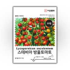 [주주씨앗] 스테비아 방울토마토 씨앗 30립 / 고당도 과일 토마토 종자, 1개