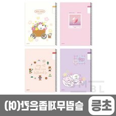 학용품 초등 좁은칸 10개 1세트