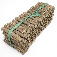 숲애 국산 가시 엄나무 400g 10단, 10개