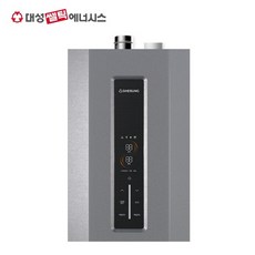 대성쎌틱 가스온수기 DSW-10 DCW-12 DCW-14 DCW-16 LPG LNG 순간온수기 서울/경기 설치가능, 택배발송, DSW-14 LPG사용