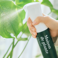 메종드플란트 올인원 천연 식물 영양제, 1개, 300ml