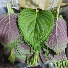 경산와촌 깻잎 찹찹이 깻잎장아찌 당일수확 직송 500g 1kg 2kg(평일2시주문시까지 당일발송), 1개