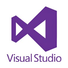 MS VISUAL STUDIO PRO 2022 LICENSE