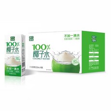 동강랜치 코코넛워터 250ml 10박스, 동강랜치 코코넛워터 250ml x 10박스