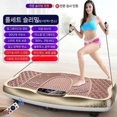 뱃살빼는기계 전신 덜덜이 실내 바디 진동운동기 진동기 뱃살빼는, D. 디럭스 저지방+빅사이즈+고출력+블루투스-골드