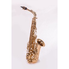 Hamata 薩克斯風 中音 A-601系列, 1個