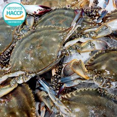 국내산 연평도 냉동 암꽃게 특품 급냉, 1개, 2kg (6-10미)