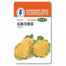 KNOWN-YOU 乳酪花椰菜種子 家庭園藝 特選種子，體驗種植樂趣，安心食用, 1個