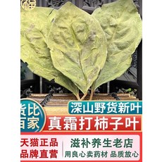 감잎 500g 감잎차 한약 감잎 신선한 서리 감잎 건조식품 감잎 물에 담가둔 것, 감잎(건조잎) 500g, 1개, 1개