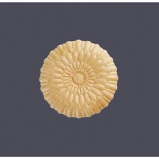 금국화 모나카깍지 96장입 아이스크림 플로랑탱 찹쌀과자 모나카피 모나모나카, 1개, 160g