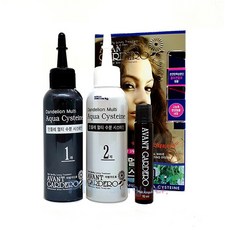 아방가드로 민들헤 멀티 수분 시스테인/웨이브펌, 100ml, 1개