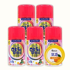 산도깨비 향기속으로 방향제 향캔 분사기 리필용 모과향, 290ml, 5개, 모과