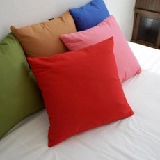 아트박스/샤이닝홈 팬톤 소파 쿠션(솜포함) 50x50 B레드 2P, 단품없음