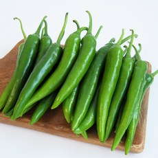[올즈마켓]입맛도는 매콤한 풋고추 상 1kg, 1개