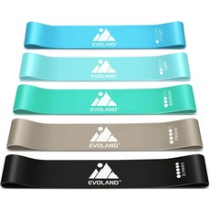 저항 밴드 세트2개 손잡이가 있는 운동 도어 앵커 발목 스트랩 및 캐리백 체형 홈 운동을 위한, Blue