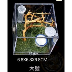 跳珠飼養盒 蜘蛛飼養箱 壓克力飼養箱籠子 昆蟲飼養 小型生態缸 跳蛛飼養箱, 1個, 蜘蛛飼養盒_大