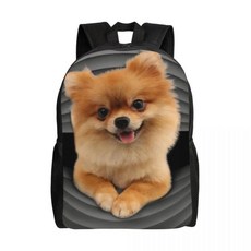 포메라니안 드워프 스피츠 배낭 캐주얼 대학 학교 애완 동물 강아지 가방, 1개, 11. 9