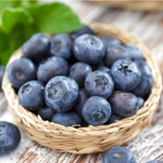 프리미엄 고당도 칠레 블루베리, 1개, 125g/ 2팩