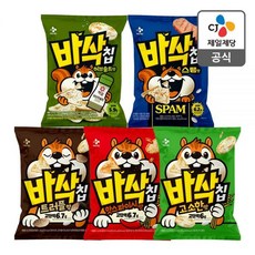 리뉴얼 바삭칩 5종 12개입 고소한 핫스파이시 트러플 스팸 허브솔트 세트 총 12개 익사이클 바삭바삭 단백질칩 프로틴칩 외, 트러플 12개