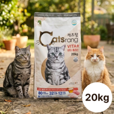아트박스/캐츠랑 캐츠랑 대용량 전연령용 31/12 업그레이드 20kg, 혼합맛, 1개