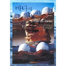 바다의 아시아 5(국경을 넘는 네트워크), 다리미디어, 오모토 케이이치 등편/김정환 역/김웅서 감수