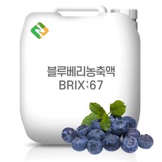 블루베리농축액 67Brix 200g 샘플, 1개