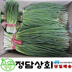 [ 정담상회 ] 국내산 깐쪽파 1kg(1단) 2kg(2단) 3kg(3단) 내외, 1박스, 2kg