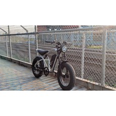 CyberCycle Rhino 犀牛 電動輔助自行車 400W 120KM 長續航 越野胖胎車, 雪白銀狐色, 1個