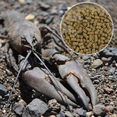 오스틴포유 크러스트 (갑각류용) 50g 관상용새우사료