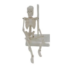 미니해부인체모형 소형인체해골모델 교육용 실습 전신 인체모형 병원 조립, 단일 항목, 1개