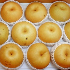 신고배 소과 가정용 신선과일, 1박스, 신고배 소과 5kg