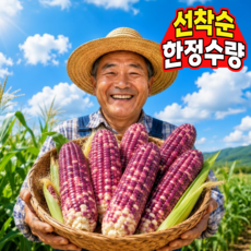[한정수량예약판매초특가] 국내산 고성 미백흑찰옥수수 특품, 1박스, 20개