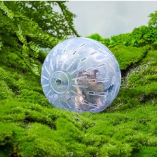 드리네몰 햄스터 투명 운동볼