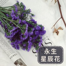 永生星辰花/勿忘我乾燥花材：台灣現貨速發，DIY花藝裝飾首選，持久綻放浪漫。, 乾燥｜黃色,原裝