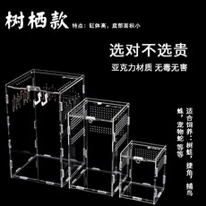 爬蟲飼養盒寵物箱透明亞克力蜘蛛守宮角蛙甲蟲蠍子造景爬寵防逃逸, 1個, 20-20-40側開,厚度3.0MM