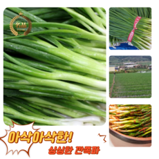 [굿피플] 깐쪽파 쪽파 파 깐파 흙쪽파 실파 잔파, 1박스, 3kg