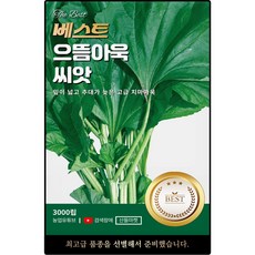 베스트 으뜸 아욱 씨앗 3000립 추대가 늦은 고급 치마 아욱씨 종자, 1개