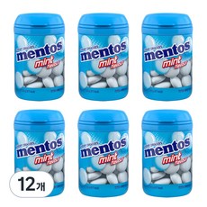 멘토스 민트맛 바틀, 12개, 120g