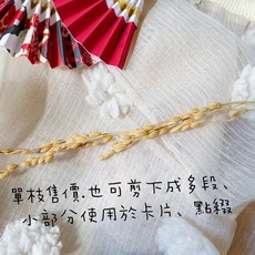 極度花燥 過年擺飾盆花插飾：祈福注連繩、開運福字、永生花烏桕紅燈籠春聯紅包水引線年節裝飾, 稻穗3枝