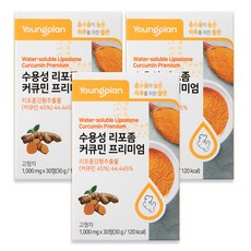 영진약품 수용성 리포좀 커큐민 프리미엄 바이오페린 식약청인증, 3개, 30정