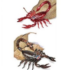 RC Bugs 색상임의배송 작동완구 반디 전갈 88868pc 1(pc)