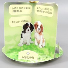 초등3학년 포유류 개의 한살이 회전식 관찰판 만들기/ 수업용 유아기관 체험과학 곤충, 4세트