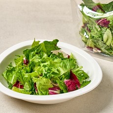 [동김제농협] 간편 소포장 샐러드믹스+발사믹소스 유러피안샐러드, 소포장 샐러드믹스 500g+발사믹소스