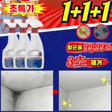 [2026독일의 공예]벽면 얼룩 제거 곰팡이 제거 초속 곰팡이 제거제 욕실 곰팡이제거제 바르는 곰팡이 제거제 초강력 곰팡이제거젤, [1pcs]240g*1