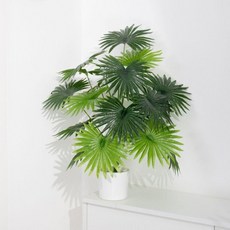 仿真蒲葵盆栽 1.2米, 70CM蒲葵樹小白盆, 1個