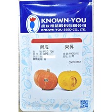 【野菜部屋】東昇南瓜種子 K83 早生品種 抗白粉病, 1包