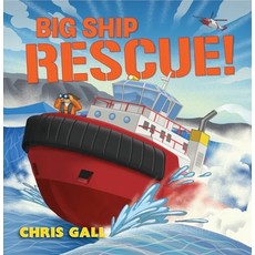 (영문도서) Big Ship Rescue! Hardcover, Norton Young Readers, English, 9781324019251