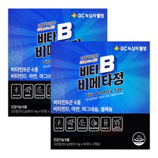 녹십자웰빙 비타B 비메타정(8개월) 고함량 비타민B 피로회복, 2개, 120정